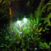 Solarne Lampe 10 Komada